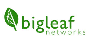 Bigleaf